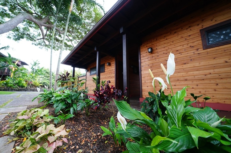 Holualoa Inn Events Pavilion March 2021 - pathway