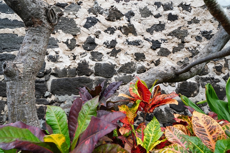 Maukaikaua Church - March 2021 - exterior - wall detail